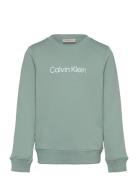 Inst. Logo Regular Cn Tops T-shirts Long-sleeved T-Skjorte Green Calvi...