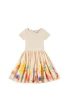 Cissa Dresses & Skirts Dresses Partydresses Cream Molo