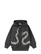 Mazzo Tops Sweatshirts & Hoodies Hoodies Grey Molo