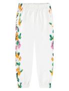 Allen Bottoms Sweatpants White Molo