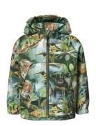 Hoplas Outerwear Jackets & Coats Windbreaker Green Molo