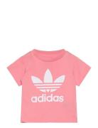 Short Tee Set Sets Sets With Short-sleeved T-shirt Pink Adidas Origina...