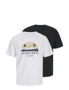 Jjpalm Tee Ss Crew Neck 2Pk Mp Tops T-Kortærmet Skjorte Black Jack & J...
