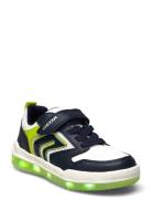 J Buzzerlight Boy B Low-top Sneakers Green GEOX