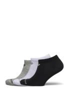 Performance Basic No Show 3 Pack Sport Sport Clothing Sport Socks Mult...