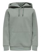 Osjceres Hoodie Swt Noos Tops Sweatshirts & Hoodies Hoodies Grey ONLY ...