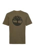 Tree Logo Short Sleeve Tee Tops T-Kortærmet Skjorte Green Timberland