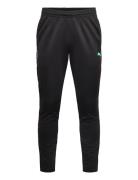 Neymar Jr Creativity Training Pant Sport Sweatpants Black PUMA