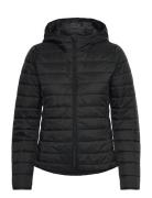 Jacket Foret Jakke Black United Colors Of Benetton