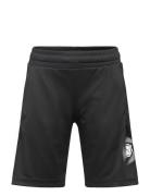 Active Sports Graphic Poly Shorts B Sport Shorts Sport Shorts Black PU...