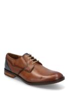 Domino Shoes Business Derby Shoes Brown Lloyd