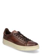 Blackwell Low-top Sneakers Brown Lloyd