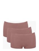 Sloggi Go Daily Cotton Short 3P Trusser, Tanga Briefs Brown Sloggi