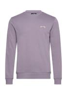 Arch Cr Lt Sport Men Sport Clothing Sport Sweatshirts & Hoodies Sport ...