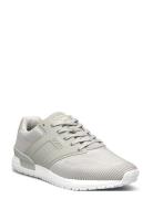 Drop  Low-top Sneakers Grey Björn Borg