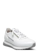 Sneaker Low-top Sneakers Silver Gabor