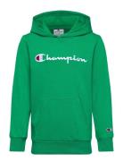 Hooded Sweatshirt Sport Sweatshirts & Hoodies Hoodies Green Champion