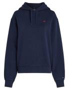 Reg Contrast Flag Hoodie Tops Sweatshirts & Hoodies Hoodies Navy Tommy...