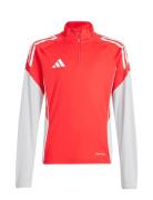 Tiro25C Tr Topy Sport Sweatshirts & Hoodies Sweatshirts Red Adidas Per...