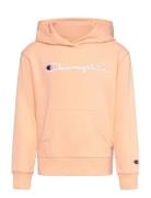 Hooded Sweatshirt Tops Sweatshirts & Hoodies Hoodies Pink Champion