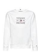 Tommy Flag Hilfiger Sweatshirt Tops Sweatshirts & Hoodies Sweatshirts ...