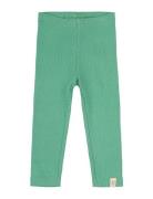 Legging Modal Bottoms Leggings Green Petit Piao