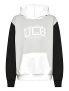 Sweater W/Hood Tops Sweatshirts & Hoodies Hoodies Grey United Colors O...