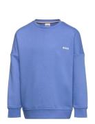 Sweatshirt Tops Sweatshirts & Hoodies Sweatshirts Blue BOSS