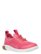 Ke Knx Knit Lace Low-top Sneakers Pink KEEN