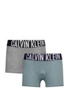 2Pk Trunk Night & Underwear Underwear Underpants Grey Calvin Klein