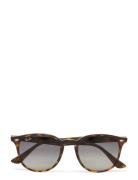 0Rb4259 Accessories Sunglasses D-frame- Wayfarer Sunglasses Brown Ray-...