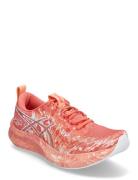 Noosa Tri 16 Sport Women Sport Shoes Sport Running Shoes Orange Asics