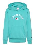 Hooded Sweatshirt Tops Sweatshirts & Hoodies Hoodies Blue Champion