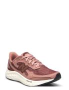 New Balance Freshfoam Arishi V4 Sport Women Sport Shoes Sport Sneakers...