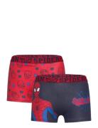 Boxer Night & Underwear Underwear Underpants Multi/patterned Spider-ma...