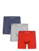 Boxer Brief 3Pk Boxershorts Multi/patterned Calvin Klein