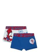 Boxer Undertøj Blue Spider-man