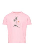 Big Rooster Kid T-Shirt Pink 10Y Tops T-Kortærmet Skjorte Pink THE ANI...