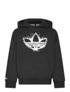 Loose Hoodie Tops Sweatshirts & Hoodies Hoodies Black Adidas Originals