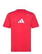Tennis Graphic Tee Sport Men Sports Clothes Sport Tops Sport T-Skjorte...
