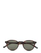 Galavant Solbriller Brown Le Specs