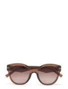 Capacious Solbriller Brown Le Specs