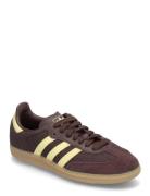 Samba Og W Sport Sport Shoes Sport Sneakers Sport Low Top Sneakers Bro...