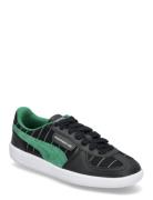 Pl Palermo Pinstripe Sport Women Sport Shoes Sport Sneakers Sport Low ...