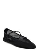 Mash Balerina Ballerinasko Ballerinaer Black Steve Madden