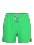Daily Volley Badeshorts Green Rip Curl