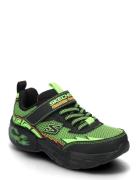 Boys Creature-Crawlers Low-top Sneakers Green Skechers