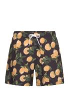 Hco. Guys Swim Badeshorts Black Hollister