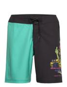 Johnson Beast Wagon Boardshort Badeshorts Blue Santa Cruz