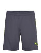 Individualcup Shorts Sport Men Sport Clothing Sport Shorts Sport Train...